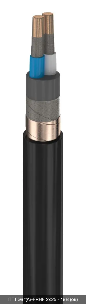 ППГЭнг(A)-FRHF 2х240 - 1кВ