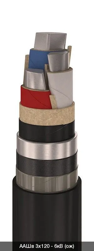 ААШв 3х50 - 6кВ