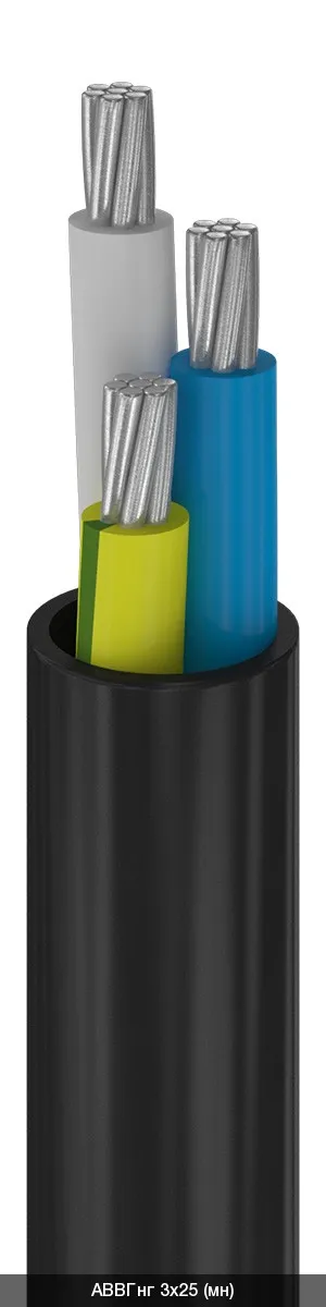 АВВГнг 2х10