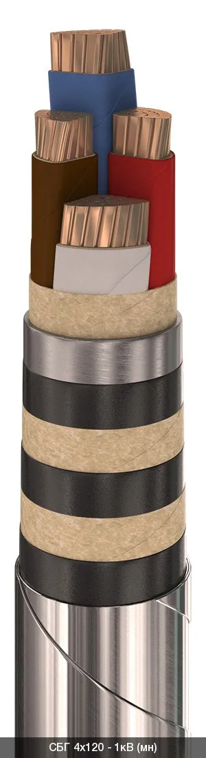 СБГ 1х300 - 1кВ