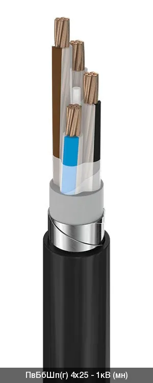 ПвБбШп(г) 4х70 - 1кВ