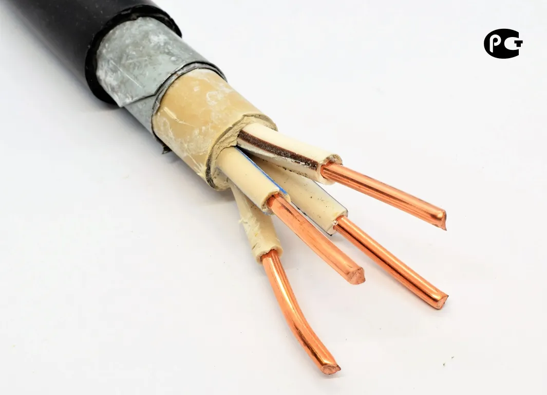 ВБбШвнг-LS 4х10 - 0.66кВ