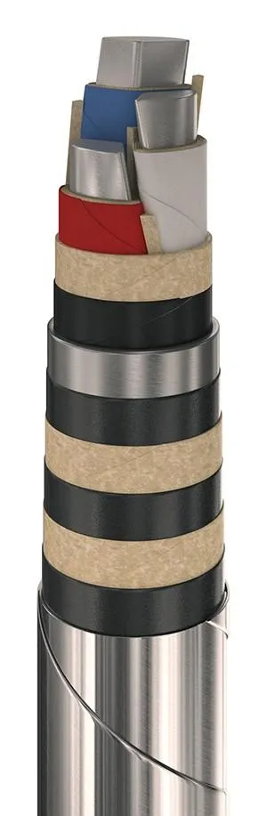 АСБГ 3х10 - 6кВ